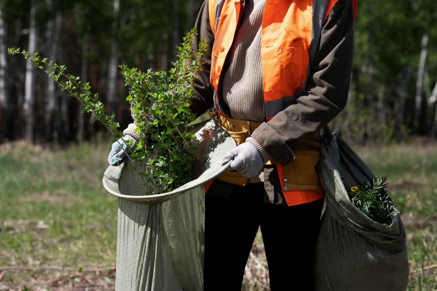 Best Emergency Tree Service  in Folsom, PA